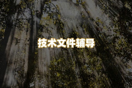 技术文件辅导